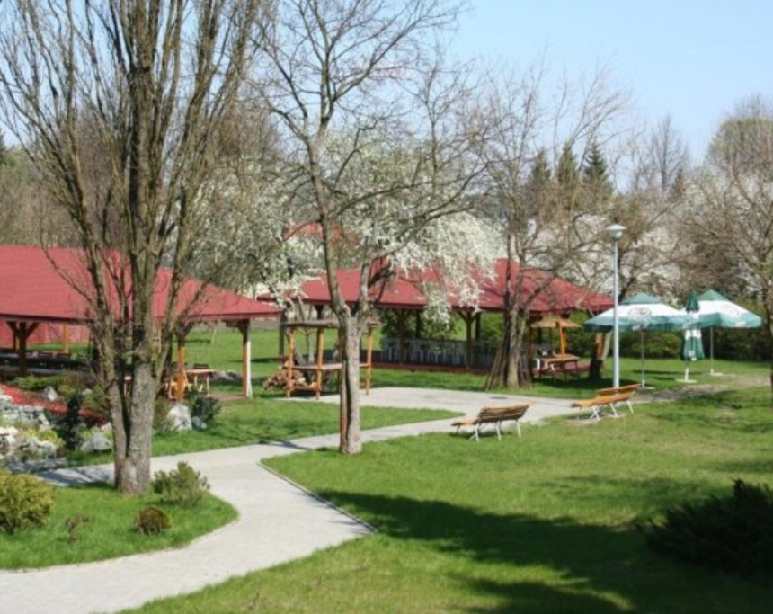 Knieja z widokiem na puszczę